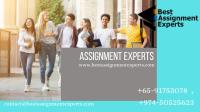 Best Assignment Experts image 3